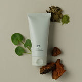 107 Chaga Jelly Low Ph Cleanser