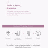 Dr. Ceuracle Vegan Active Berry Lifting Cream