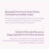 Dr. Ceuracle Vegan Active Berry Lip Oil