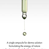 Dr. Ceuracle Vegan BHA & Matcha Ampoule