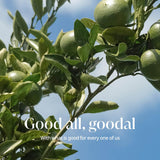 Goodal Green Tangerine Vita C Radiance Mask