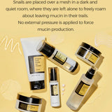 Cosrx Advanced Snail 96 Mucin Power Essence