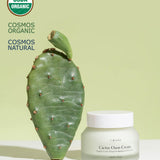 Urang Cactus Oasis Cream