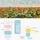 Urang Organic Rose Mist (2025/2026 Limited Edition)