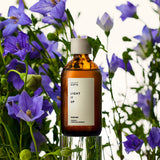 Sioris Light It Up Essener