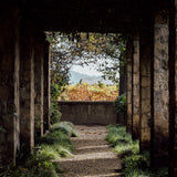 Vinoir Decanting Perfume Hand Cream | Il Labirinto