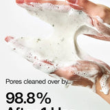 Anua Heartleaf Quercetinol Pore Deep Cleansing Foam