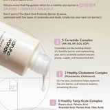 haruharu wonder Black Rice Probiotics Barrier Essence a.k.a. Makgeolli