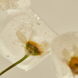 Hyggee Relief Chamomile Cream