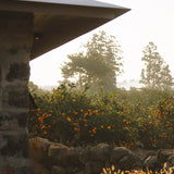 Melixir Mandarin Vitamin C5 Dark Spot Serum