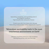 Missha Time Revolution The First Treatment Essence 5X