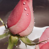 Olivarrier Wash All Barrier Relief Cleanser