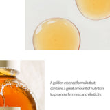 Sioris My First Essener