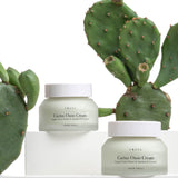 Urang Cactus Oasis Cream