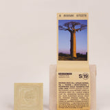 Toun28 Shampoo Bar S19 Baobab + Argan
