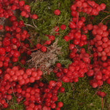 Sioris Calm Me Down Cream