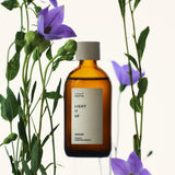 Sioris Light It Up Essener