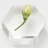 Urang Perfect Daily Mist